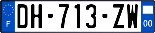 DH-713-ZW