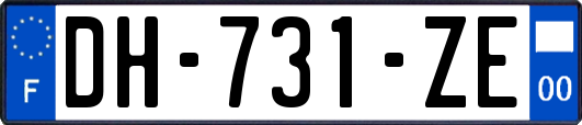 DH-731-ZE