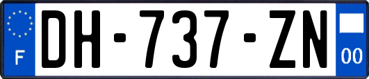 DH-737-ZN