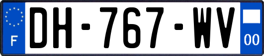 DH-767-WV