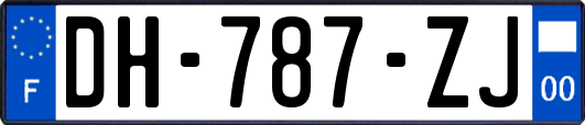 DH-787-ZJ