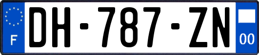 DH-787-ZN