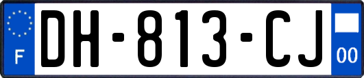 DH-813-CJ