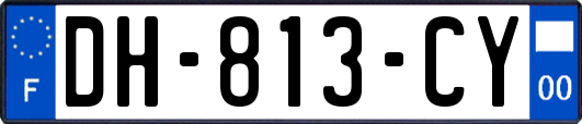 DH-813-CY