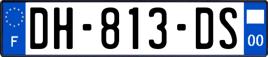 DH-813-DS