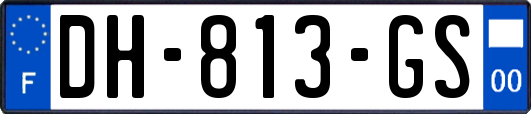 DH-813-GS