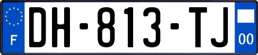 DH-813-TJ