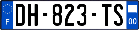 DH-823-TS