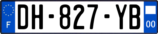 DH-827-YB