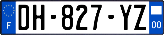 DH-827-YZ