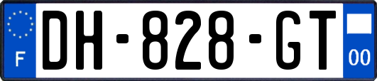 DH-828-GT