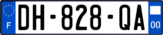 DH-828-QA