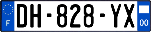 DH-828-YX