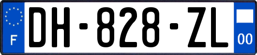 DH-828-ZL