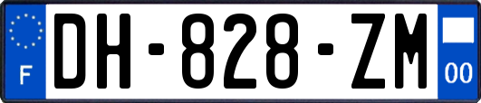 DH-828-ZM