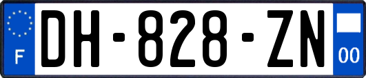 DH-828-ZN