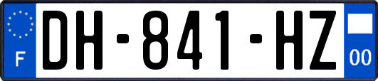 DH-841-HZ