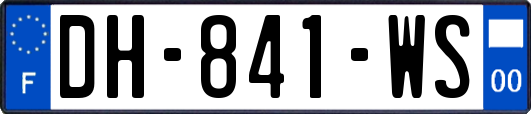 DH-841-WS