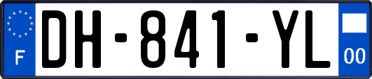 DH-841-YL