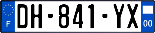 DH-841-YX
