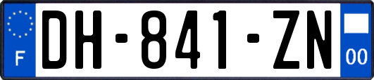 DH-841-ZN