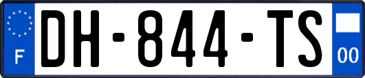 DH-844-TS