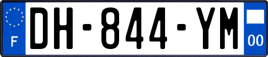 DH-844-YM