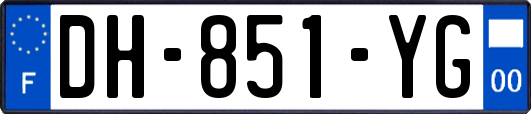 DH-851-YG