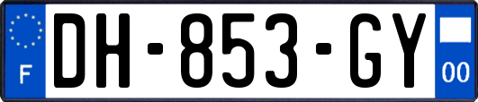 DH-853-GY