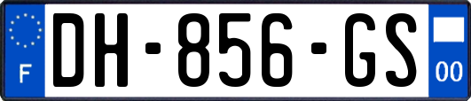 DH-856-GS