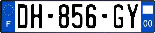DH-856-GY