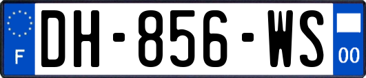 DH-856-WS