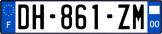 DH-861-ZM