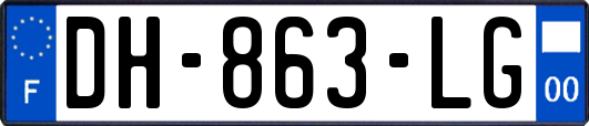 DH-863-LG