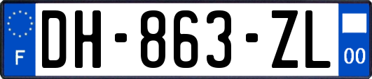 DH-863-ZL