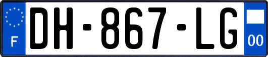 DH-867-LG