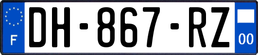 DH-867-RZ