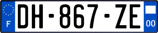 DH-867-ZE