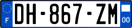 DH-867-ZM