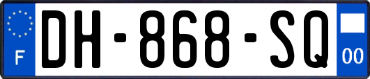 DH-868-SQ