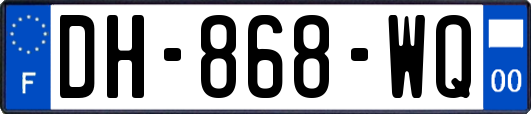 DH-868-WQ