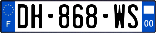 DH-868-WS