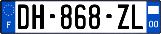 DH-868-ZL