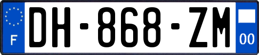 DH-868-ZM