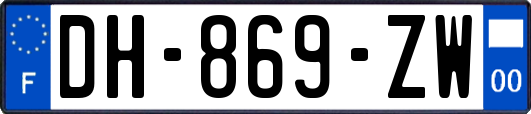 DH-869-ZW