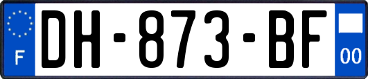 DH-873-BF