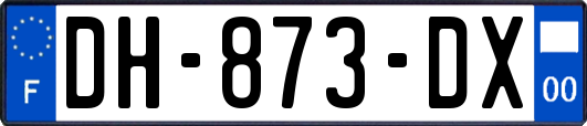 DH-873-DX