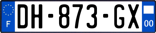 DH-873-GX