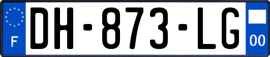 DH-873-LG