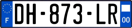 DH-873-LR